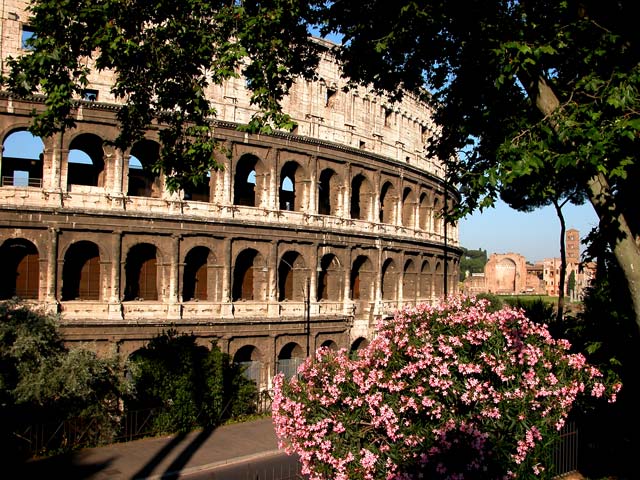 Colosseo - Anfiteatro Flavio: 41 - Colosseo