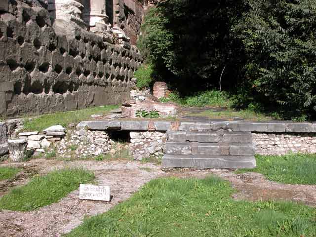 La Necropoli arcaica (Sepulcretum)