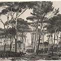 £ giugno 1849 battaglia a Villa Pamfili