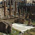 Passeggiate Romane - da Trastevere al Colosseo: 12 - Area Sacra Di Largo Argentina 