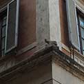 Passeggiate Romane - da Trastevere al Colosseo: 32 - Via Della Gatta 